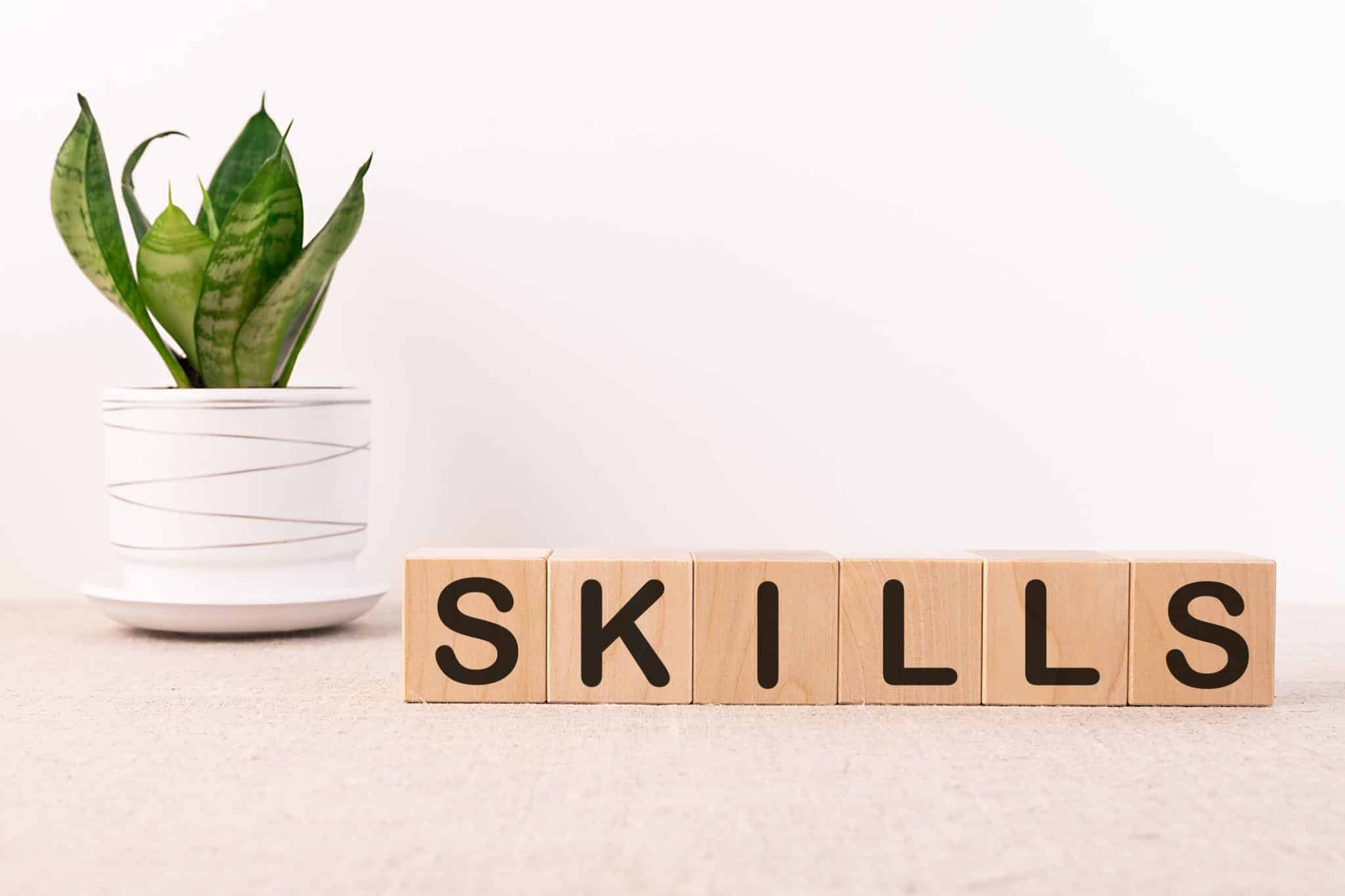 Qu Est Ce Que Les Soft Skills Pourquoi Et Comment Les D Velopper